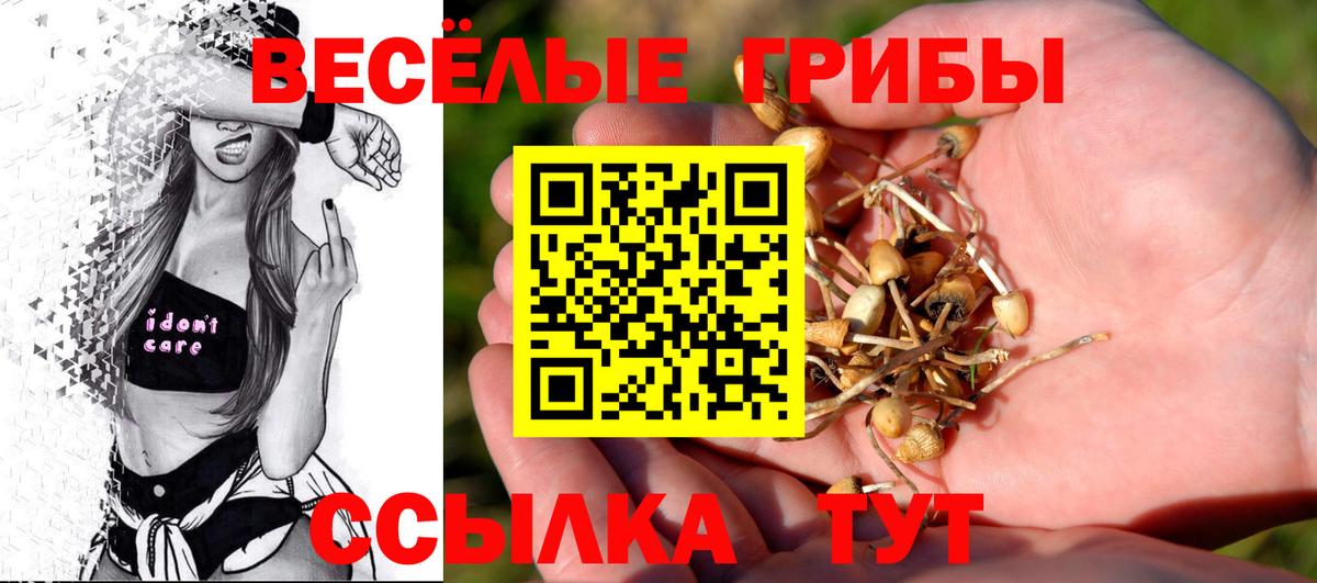 Псилоцибиновые грибы GOLDEN TEACHER  Псилоцибиновые грибы Cubensis  Корсаков  Вход с VPN 